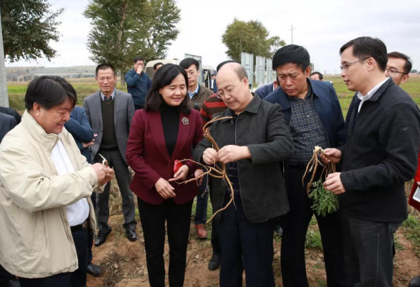 國家衛生健康委黨組成員、國家中醫藥局黨組書記余艷紅一行深入山西省五寨縣調研定點扶貧工作
